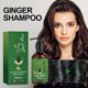 thumbnail image 2 of Ginger shampoo for fluffy and strong hair roots, cleansing, nourishing and thickening scalp, 2 of 3