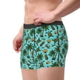 thumbnail image 2 of Disketp Pineapple Sea Turtle Men's Boxer Briefs,Soft and Breathable Cotton Underwear with ComfortFlex Waistband, 2 of 7