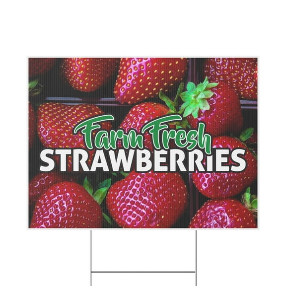 Farm Fresh Blueberries Sign, Blueberry Yard Sign