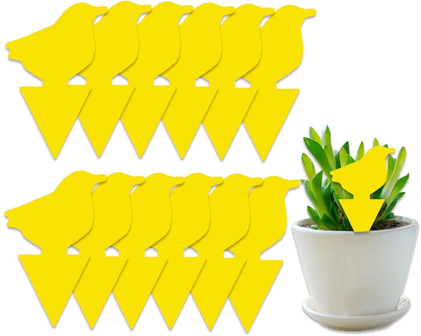 Details about   20-Pack Dual-Sided Yellow Sticky Traps for Fungus Gnat Whitefly Leafminers Aphid 