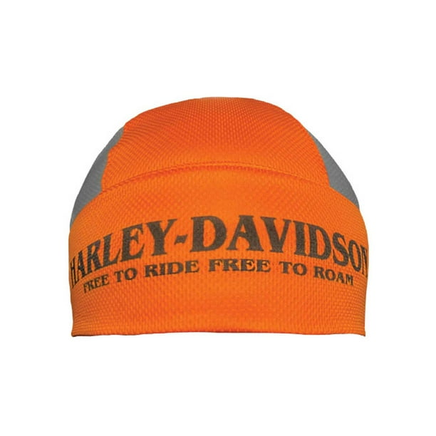 HarleyDavidson Men's Free To Ride Polyester Colorblocked Skull Cap