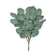 thumbnail image 5 of Hojas de eucalipto artificiales Yuarrent 20 piezas decoración de fondo de pared verde, 5 of 6