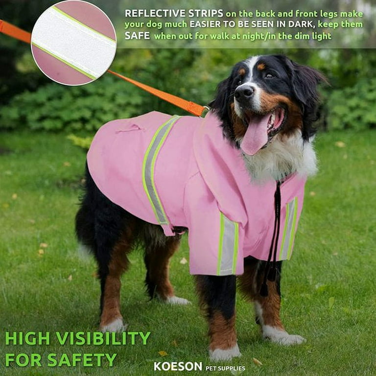 Bernese mountain dog raincoat sale