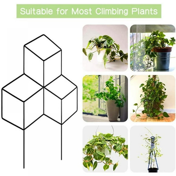 Metal Garden Trellis Frame  Black Coating Plant Frame  Coated Plant Trellis for Indoor and Outdoor Climbing Plant Pots  Flowers  Vegetables  Rose Vines and Peas