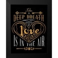 thumbnail image 2 of SD Graphics Studio 12x14 Black Modern Framed Museum Art Print Titled - Love is in the Air, 2 of 5