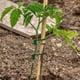 thumbnail image 2 of Cordel de jardín verde de 30 metros/98 pies, lazo para plantas de jardín, lazo para árbol, lazo elástico para soporte de plantas (1 rollo), 2 of 5