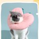 thumbnail image 4 of Collar ajustable de recuperación para gatos, suave, lindo cono de cuello con cuello en E para mascotas después de la cirugía, cono protector para curación de heridas, apto para gatitos y perros, 4 of 5