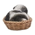 thumbnail image 4 of Hi-Line Gift Ltd Pet Pals-Wicker Basket-Shih Tzu, Black/White, 4 of 5