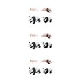 thumbnail image 4 of Bewildely Ciclo de vida Figuras de animales Juguete 4 etapas de Panda Ciencia Juguetes educativos estilo B Type1 NO1, 4 of 6
