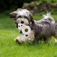 thumbnail image 3 of Pet Chew Toy Cute Panda Creative Pet Squeaky Toy Pet Plush Toy for Cats Dogs, 3 of 5