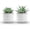 2, variant on 2 Pack in Striped Ceramic Pots for Shelf Decor | Sturdy cement ceramic planters, realistic small ,no watering for bathroom office desk decor,-friendly