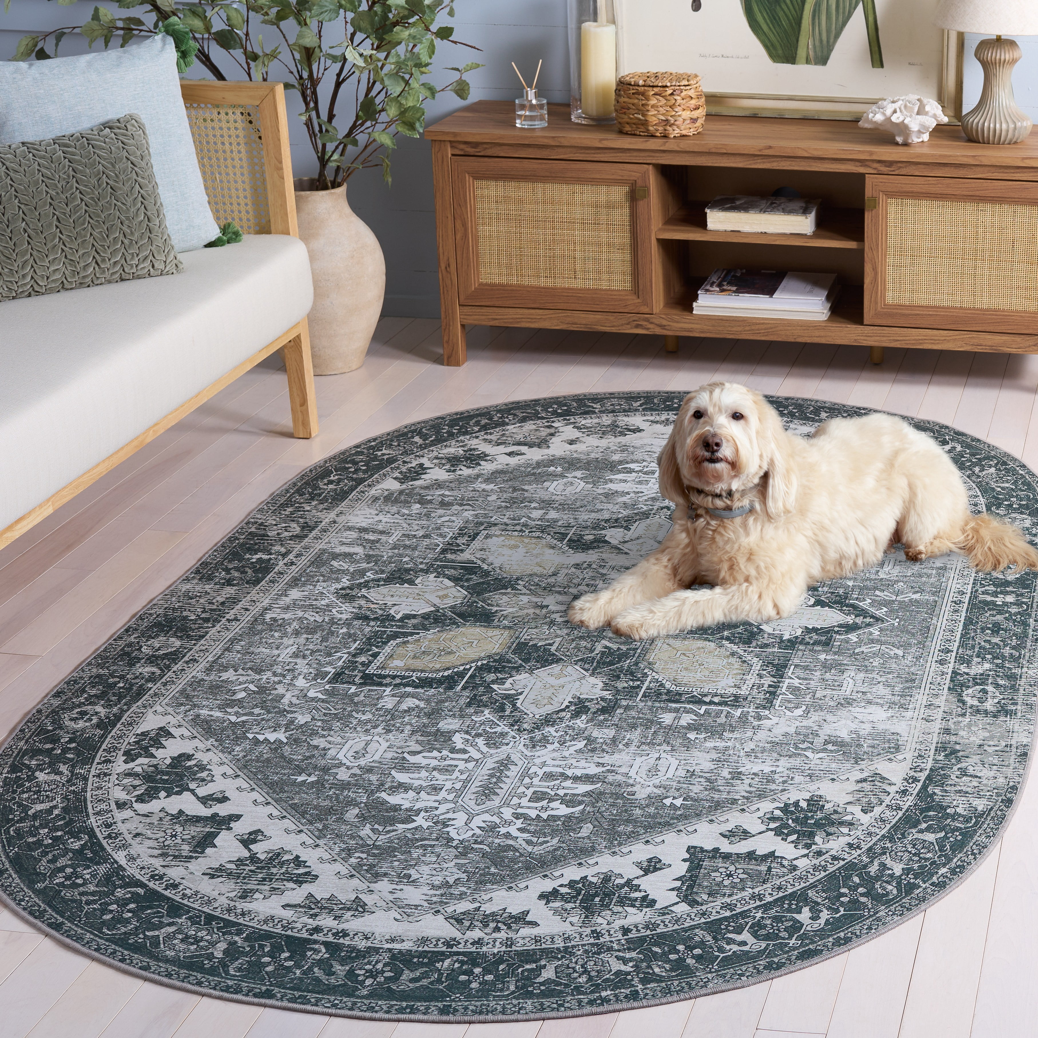 Safavieh Tucson Jayla Oriental Machine Washable Area Rug, Dark Sage/Ivory, 6' x 8' Oval