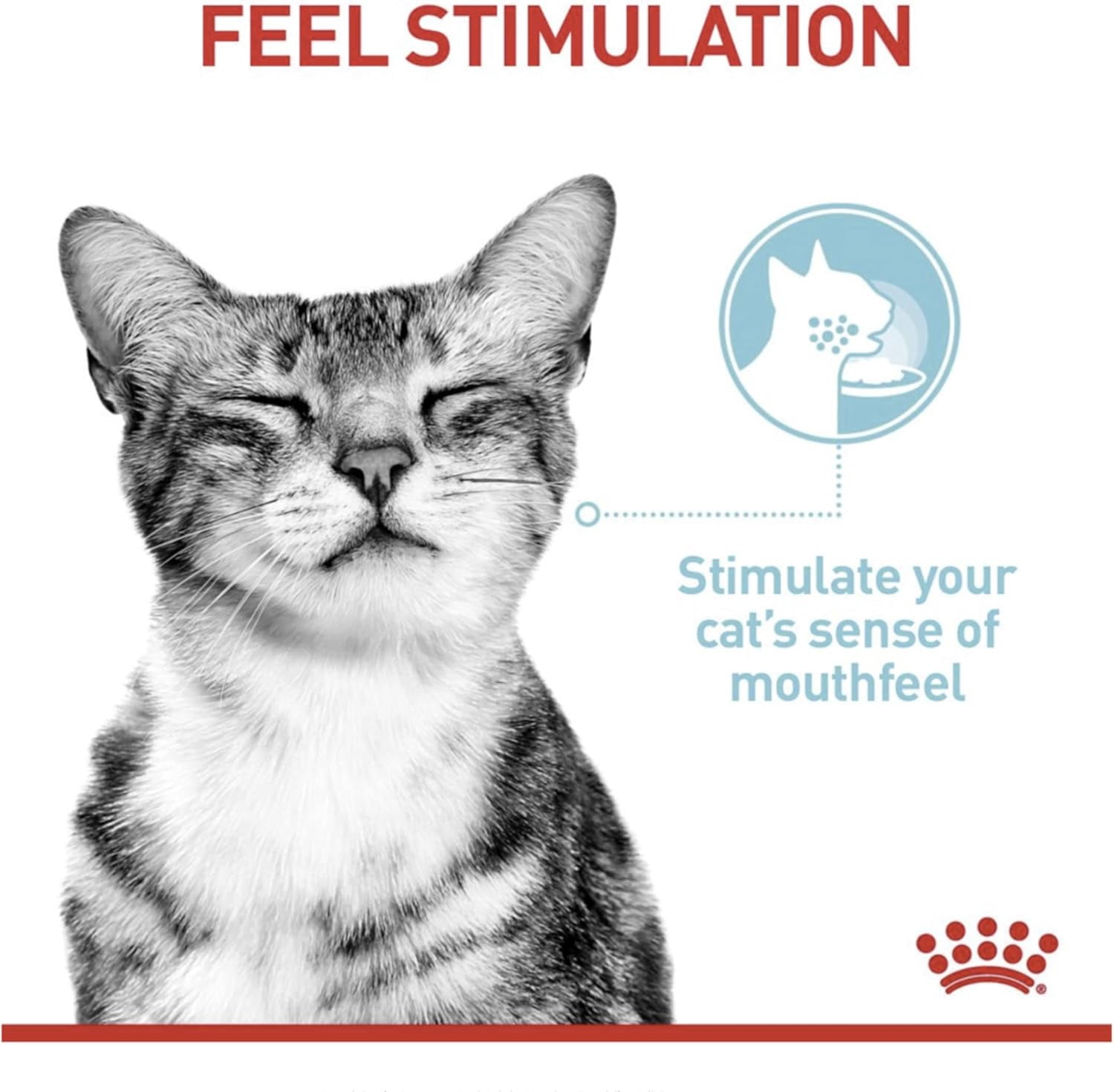 Royal Canin Sensory Feel Cat Wet Food 12x85g Jelly