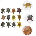thumbnail image 4 of 24 figuras de tortuga de plástico para acuario, modelo de tortuga, simulación de organismo marino, 4 of 7