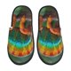 thumbnail image 1 of Balery Chameleon Pantuflas de Casa de Felpa Silenciosas con Diseño Estampado, Zapatillas Cómodas Antideslizantes de Algodón para Interior-Large, 1 of 8