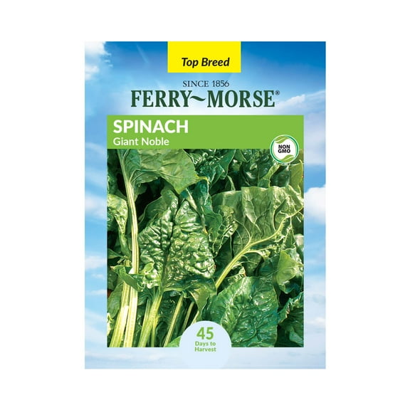 Ferry-Morse 2.2G Spinach Giant Noble Annual Vegetable Seeds, Full Sun