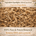 thumbnail image 4 of Hierba de la Hormiga Herbal Tea (4 oz) – 100% Natural Dried Allionia incarnata – Traditional Desert Botanical Infusion – Wildcrafted Loose Leaf – Caffeine-Free, Vegan, Non-GMO, 4 of 9