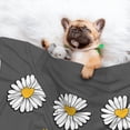 thumbnail image 3 of Yiaed Keep Life Simple Daisy Flower Print Dog Blankets-Cat Blanket Washable for Couch Protection,Puppy Blanket, Soft Plush Reversible Throw Furniture Protector-Medium, 3 of 8