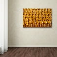 thumbnail image 3 of Trademark Fine Art 'Golden Buddhas' Canvas Art by Philippe Hugonnard, 3 of 3