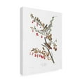thumbnail image 3 of Trademark Fine Art Pictufy Tree Sparrow From Birds of America 1827 Canvas Wall Art, 3 of 4