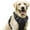 H, variant on Pet Vest PawSafety No Pull Harness for Dogs and Cats - Durable Comfortable and Safe for Indoor and Outdoor Use