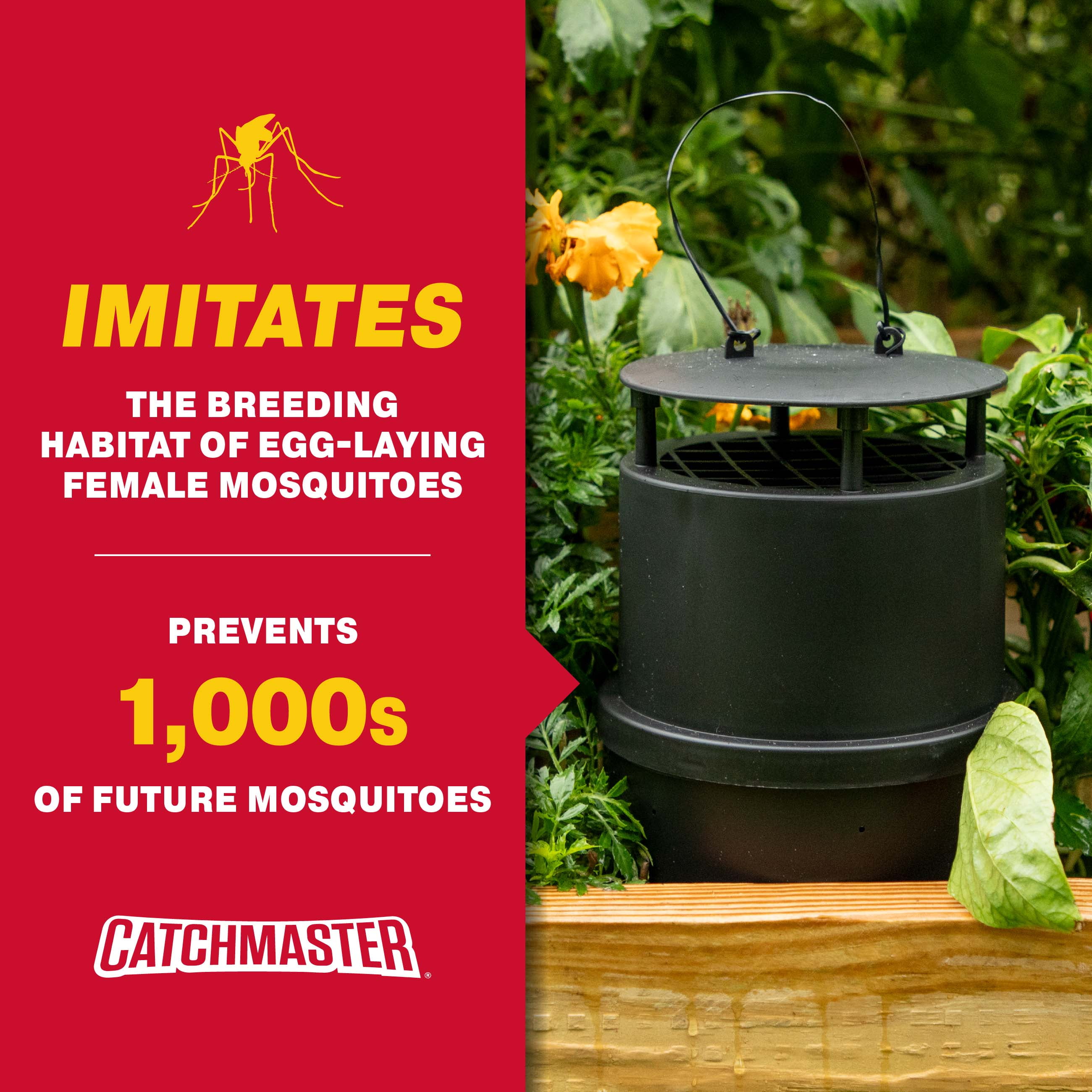 Catchmaster Oasis Ovi-Mini Mosquito Trap 4Pk, Mosquito Killer, Backyard Pest Control