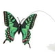 thumbnail image 5 of Juguete inteligente para gatos con rotación automática, pájaros voladores y mariposas alrededor de flores y juguetes para gatos, 5 of 8
