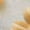 XVDSVF-7, variant on Sunflower Mom Sweatshirt For Women Long Sleeve Pullover