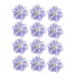 thumbnail image 5 of Flores prensadas Billuyoard Decorativo Seguro decoración floral Accesorio de arte DIY, 5 of 6
