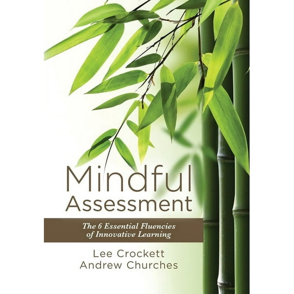 Mindful Assessment: The 6 Essential Fluencies of Innovative Learning (Paperback)
