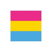 LGBQTIA Gay Pride Pansexual 21" X 21" Bandanna