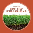 Pennington Smart Seed Bermudagrass Grass Seed Mix, for Full Sun, 1.75