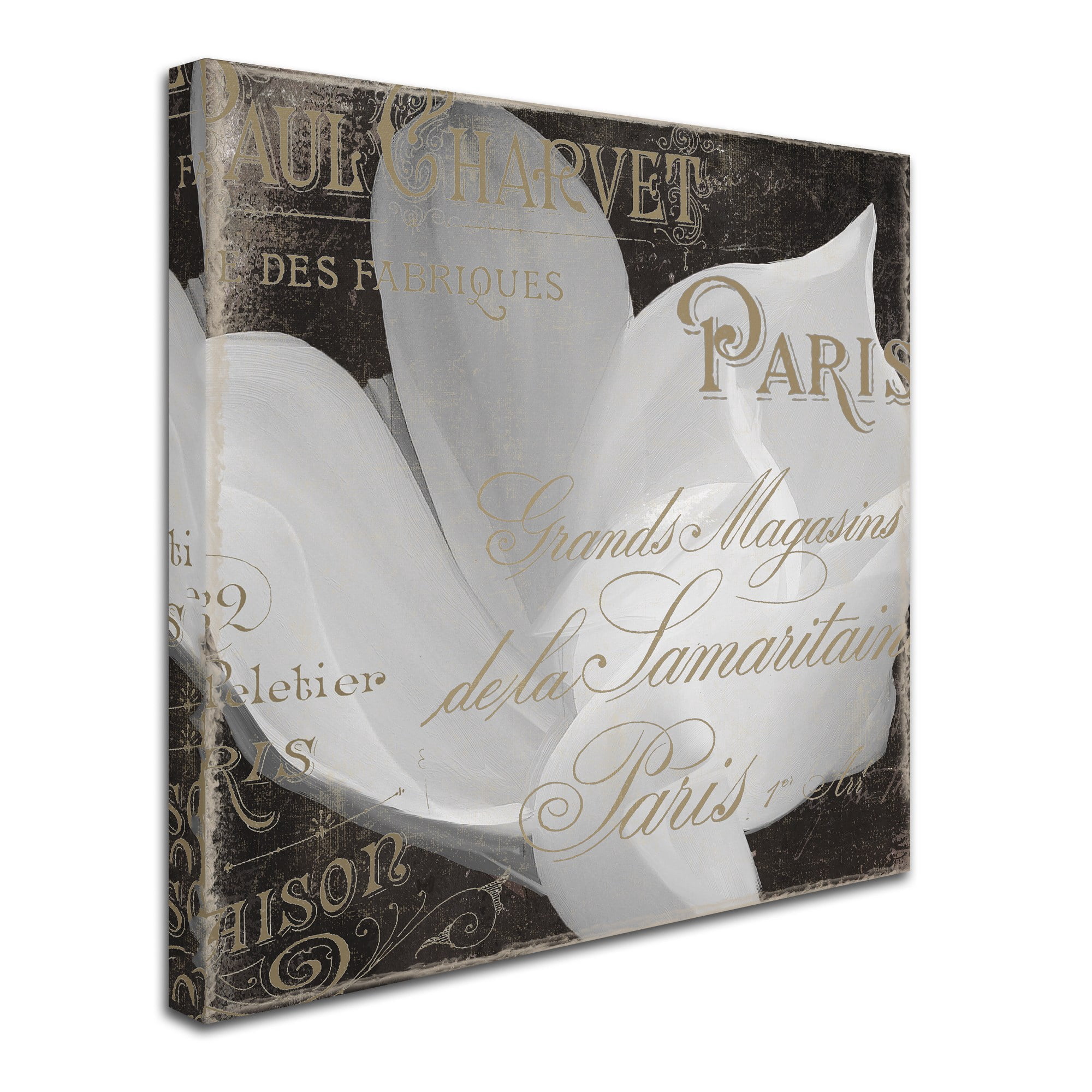Trademark Fine Art "Fleurs Blanc II" Canvas Art by Color Bakery