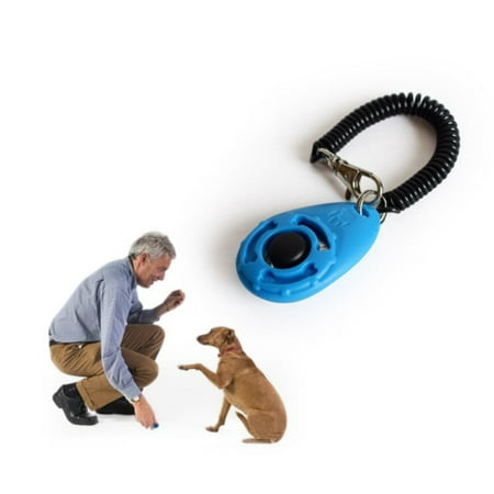 Pet Dog Bird Cat Horse Button Click Clicker Training Obedience Aid Wrist (Best Bird Dog Training Videos)