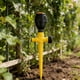 thumbnail image 5 of 2 aspersores de césped ajustables, aspersores de jardín, de riego automático giratorio de 360 degree para plantas de jardín., 5 of 9