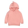 thumbnail image 2 of IROINNID Toddler Kids Hoodies Pullover Dino Baby Boys Girls Long Sleeve Solid Outerwear, 2 of 9