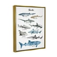 thumbnail image 5 of Stupell Industries Nautical Shark Chart Watercolor Marine Animals Metallic Gold Framed Floating Canvas Wall Art, 16x20, by Ziwei Li, 5 of 5