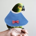 thumbnail image 4 of 2 Pcs Parrot Protective Collars Anti-pecking Collars Bird Recovery Collar Ring, 4 of 7