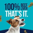 thumbnail image 2 of Stewart Freeze-Dried Beef Liver Training Bites for Dogs, Grain-Free, 4 oz Pouch, 2 of 10