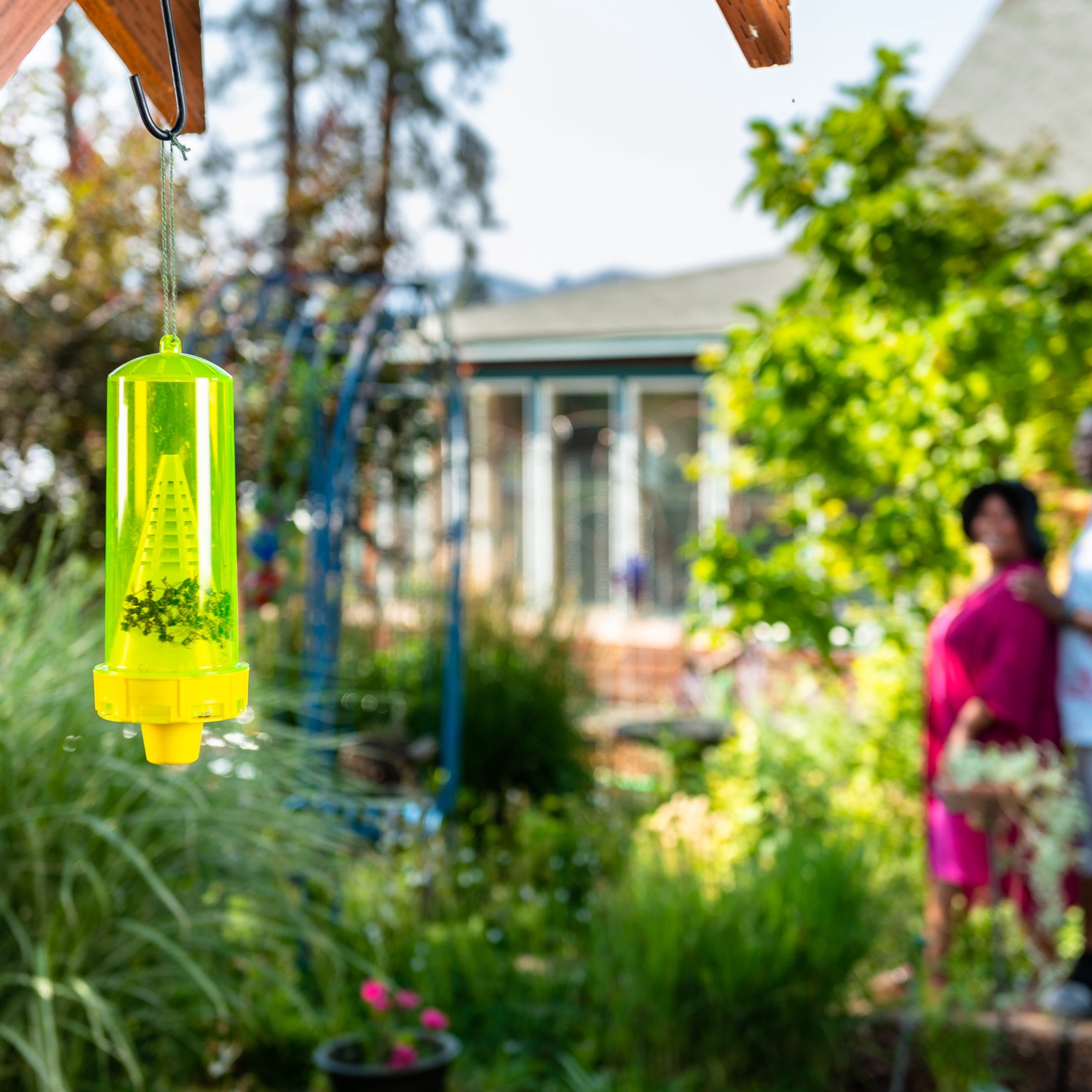 (3 pack) RESCUE! Reusable Yellowjacket Trap, 1 Trap