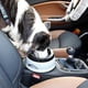 thumbnail image 3 of Pet Dog Bowl Floating Not Wet Mouth Cats Bowl Non-Sprinkling Water Dispenser Plastic Portable Dog Drinking Bowl Pet Supplies, 3 of 5