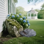 Rock Landscape Rock Multipurpose Pump Cover Background Props Stone Sculpture Realistic for Lawn Garden Patio Porch, Style B