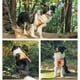 thumbnail image 5 of Popular!Correa para el pecho para perros,chaleco acolchado suave ajustable para perros,chaleco reflectante para mascotas fácil de caminar para perros medianos, 5 of 6