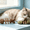 A, variant on 3 Pack Cat Chew - Fix Cat Dental Health, Catnip Toys for Indoor Cats, Natural Fishbone Cats Dental Toy, Durable Feline Tooth Care Tool, Kitten Teeth Cleaning Care Sticks, Catnip C
