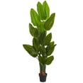 thumbnail image 1 of Nearly Natural 5599 6 ft. Canna Artificial Tree, 1 of 1