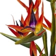 thumbnail image 3 of Nearly Natural Large Birds of Paradise with Vase in Orange, 3 of 4