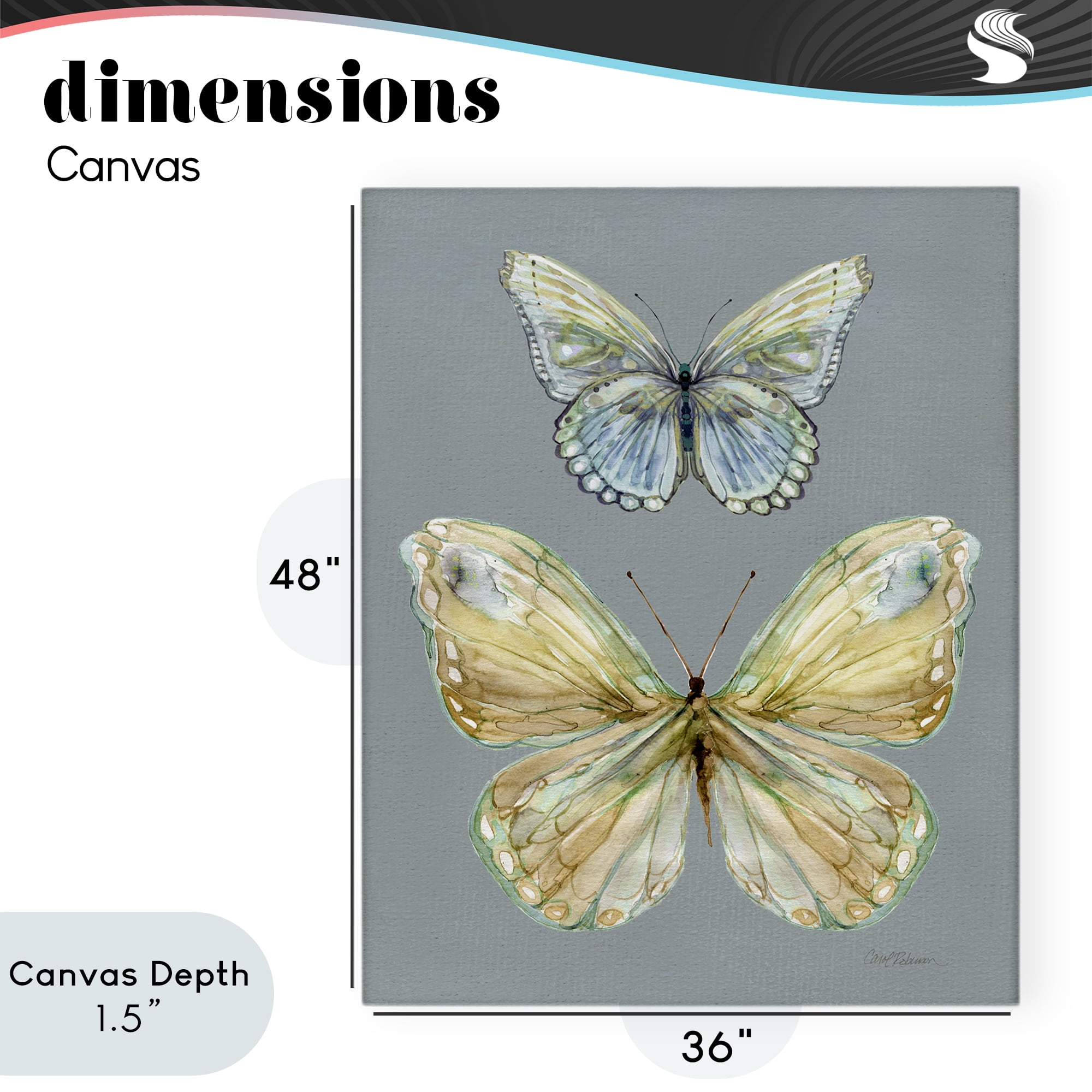 Stupell Industries Delicate Butterflies on Slate Canvas Wall Art, design by Carol Robinson
