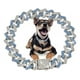 thumbnail image 1 of Aplicável A Cadena Para Perros, Cadenas Cubanas De Oro Para, 1 of 7