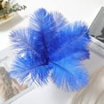 thumbnail image 5 of 20 Pcs Natural Ostrich Feathers,Bexikou 8-10inch Ostrich Feathers Plume for Wedding Centerpieces Home Decoration, 5 of 7