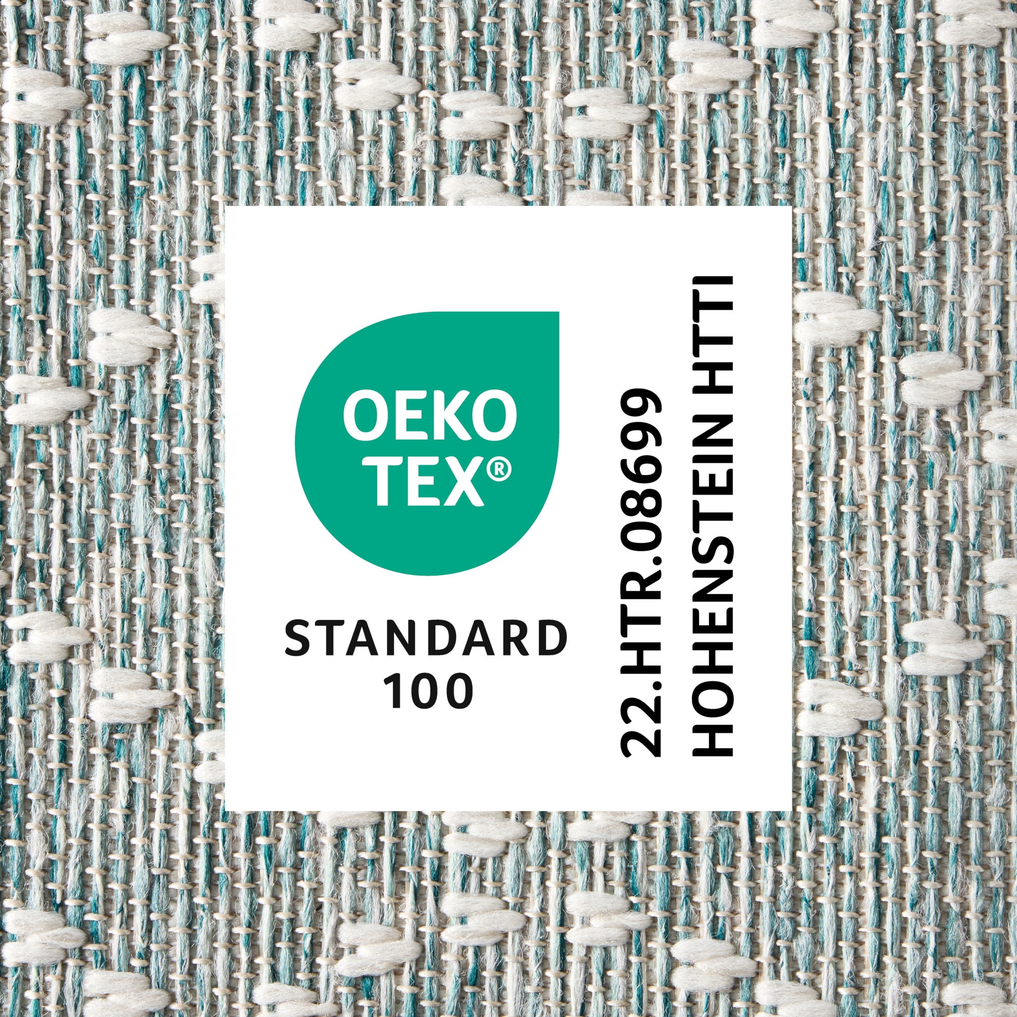 NICOLE MILLER NEW YORK Corin Distressed Indoor Outdoor Area Rug, UV Fade Resistant, Low Pile, Aqua/Cream, 5'2"x7'2"